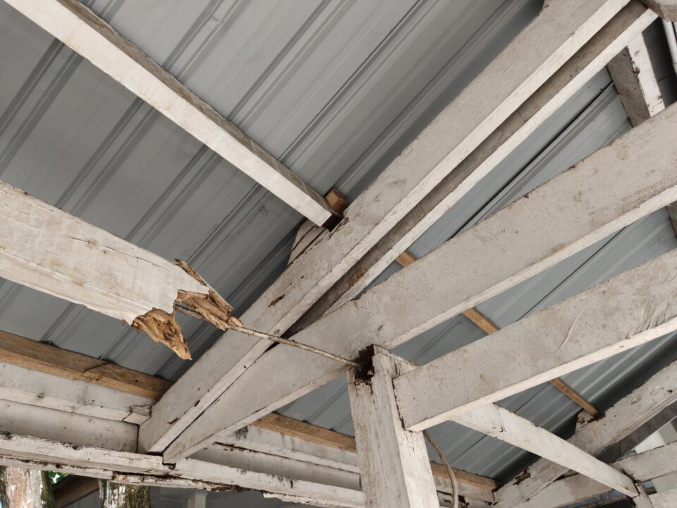 Selling a Termite-Damaged House in Central Virginia